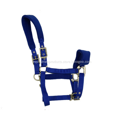 Various Color Horse Halter with Polar Fleece